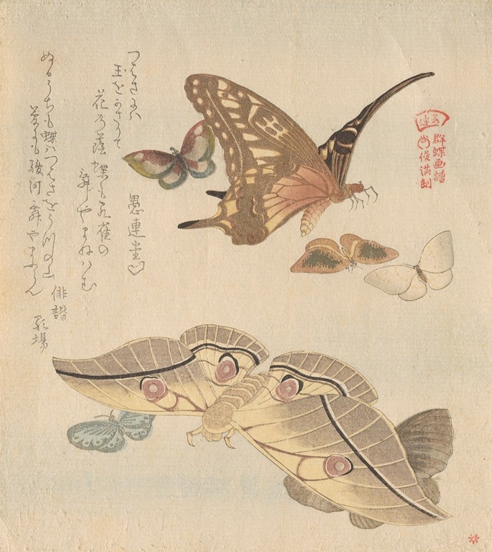 Kubo Shunman - Butterflies and moths, from the series A Flock of Butterflies (Gunchō Gafu)