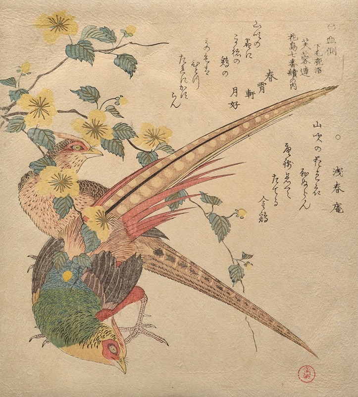 Kubo Shunman - Pair of Chinese pheasants and a branch of yamabuki flowers