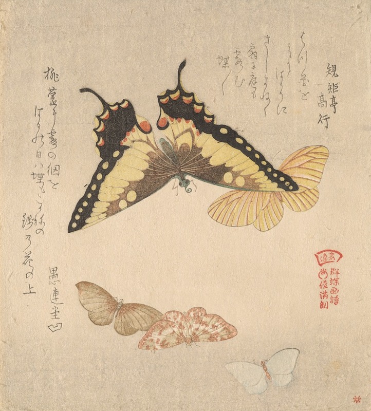 Kubo Shunman - The Painting Manual of Flock of Butterflies (Gunchō Gafu) 3