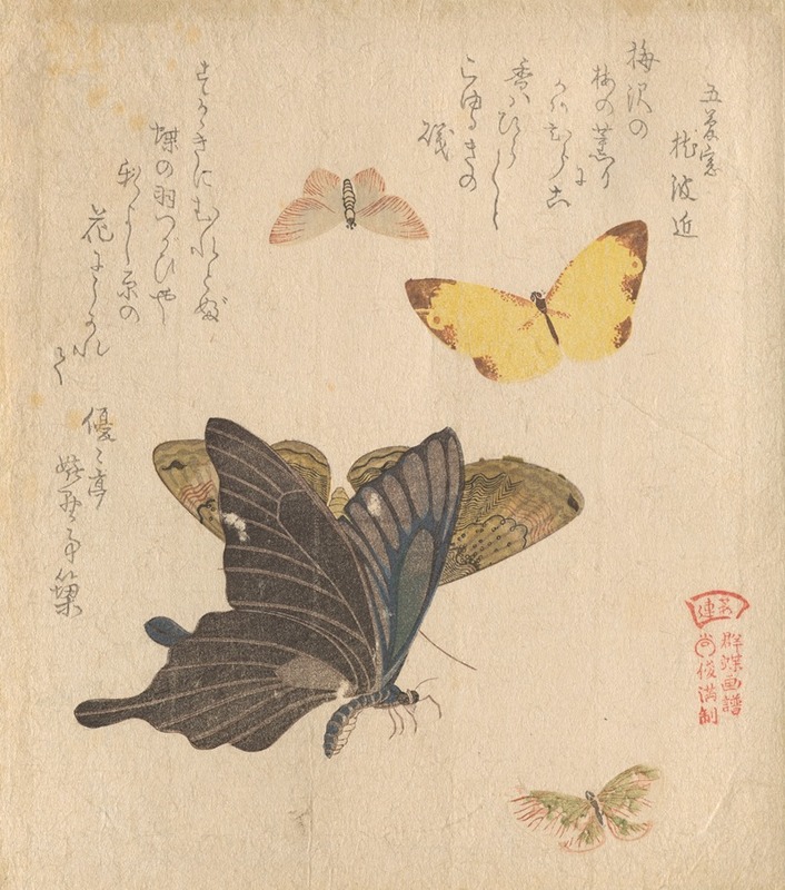 Kubo Shunman - The Painting Manual of Flock of Butterflies (Gunchō Gafu) 5
