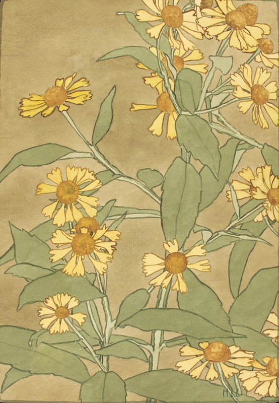 Hannah Borger Overbeck - Daisies with Orange Center and Yellow Petals