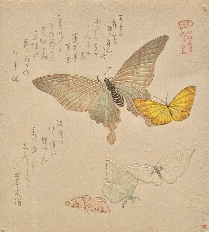 Kubo Shunman - The Painting Manual of Flock of Butterflies (Gunchō Gafu) II