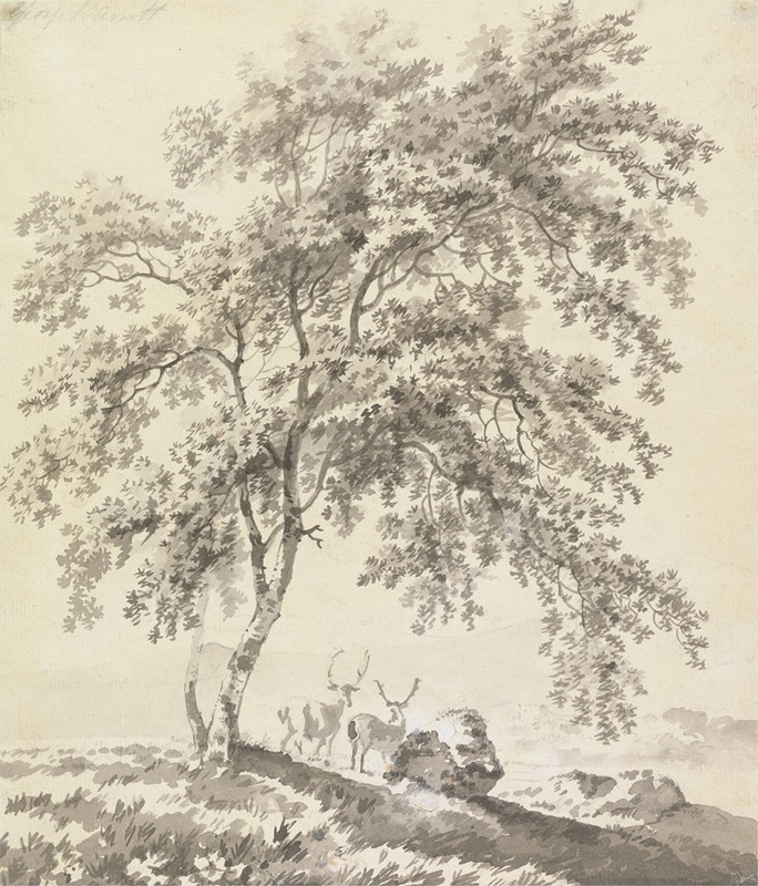 George Barret - Tree Study with Stags (Landscape)