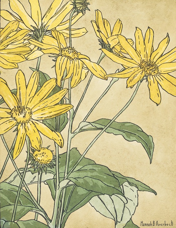 Hannah Borger Overbeck - Sunflowers (possibly Jerusalem Artichoke)