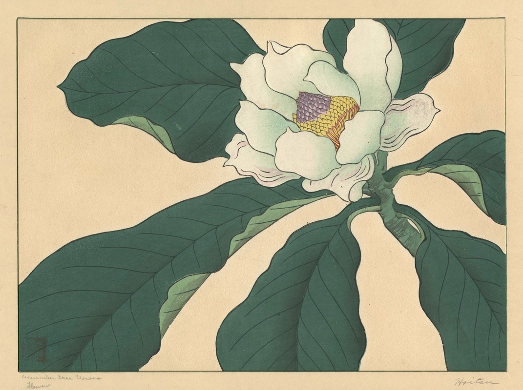Sakai Hōitsu - Cucumber tree flowers