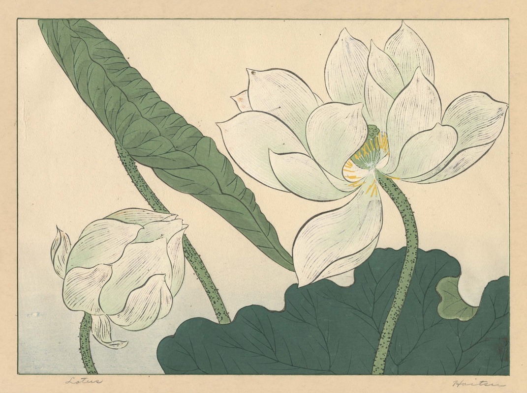 Sakai Hōitsu - Lotus
