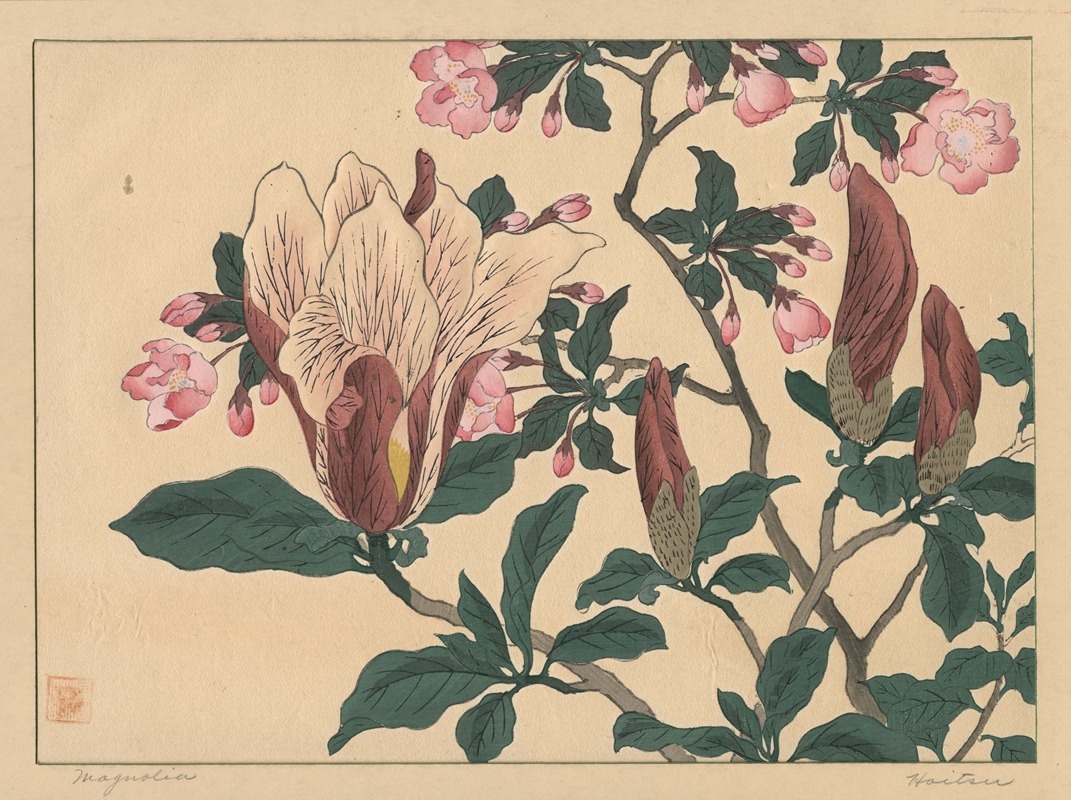 Sakai Hōitsu - Magnolia