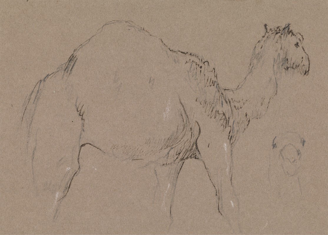 George Jones - A Camel Moving to the Right; a Sketch of a Camel’s Head, Bottom Right