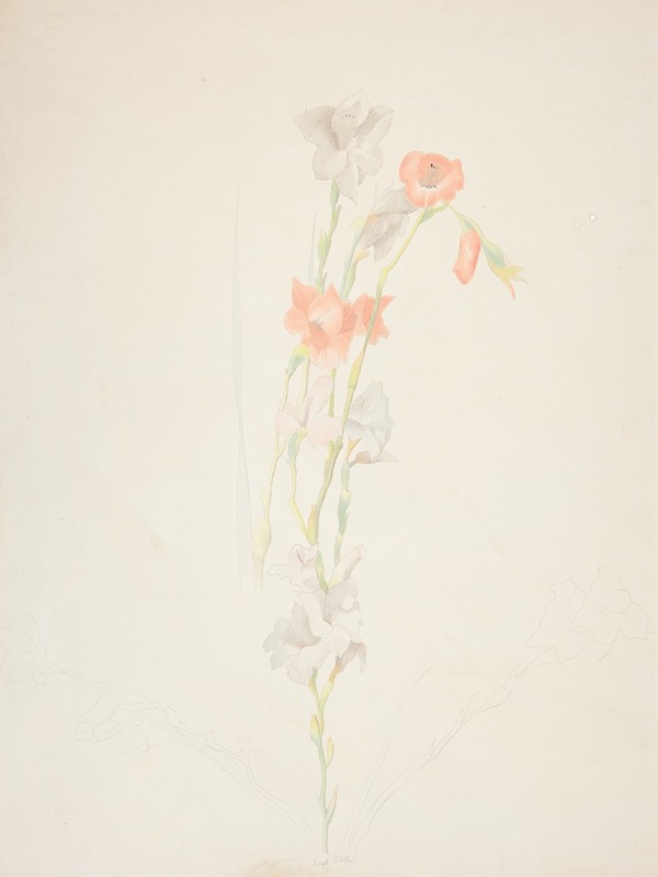 Flowers by Joseph Stella - Artvee