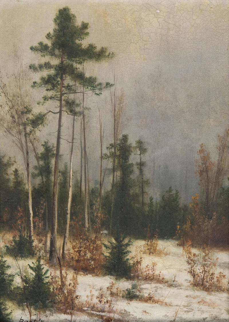 Ludvík Barták - Winter Forest
