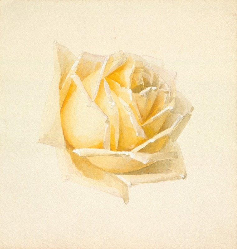 Paul de Longpre - Study of a Rose