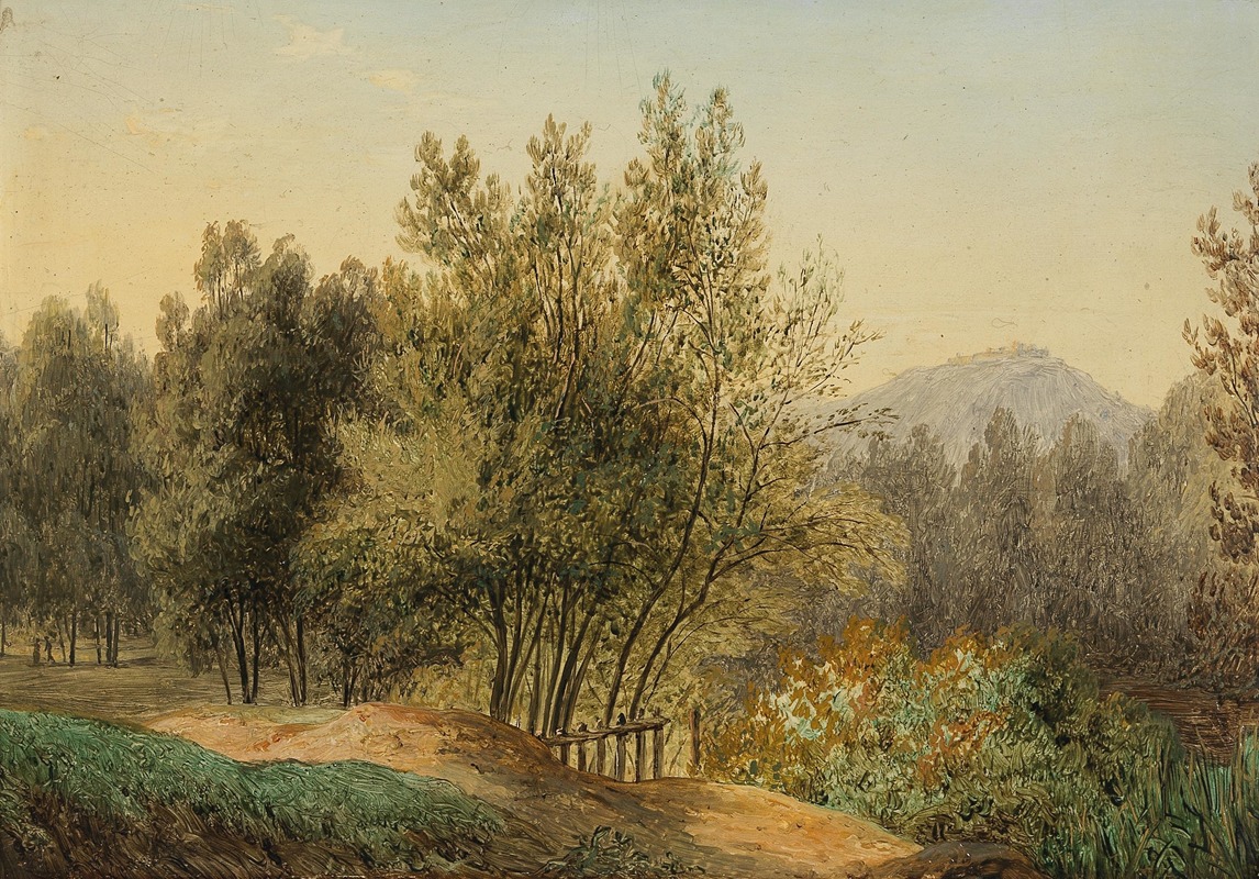 Matthias Rudolf Toma - Landscape