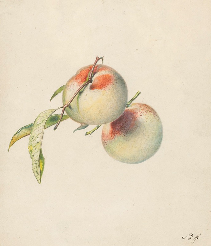 Albertus Steenbergen - Twee perziken aan hun steeltjes