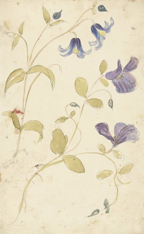 Elias van Nijmegen - Studies of Purple and Blue Flowers