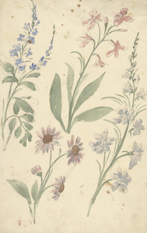 Elias van Nijmegen - Vier studies van roze en blauwe bloemen
