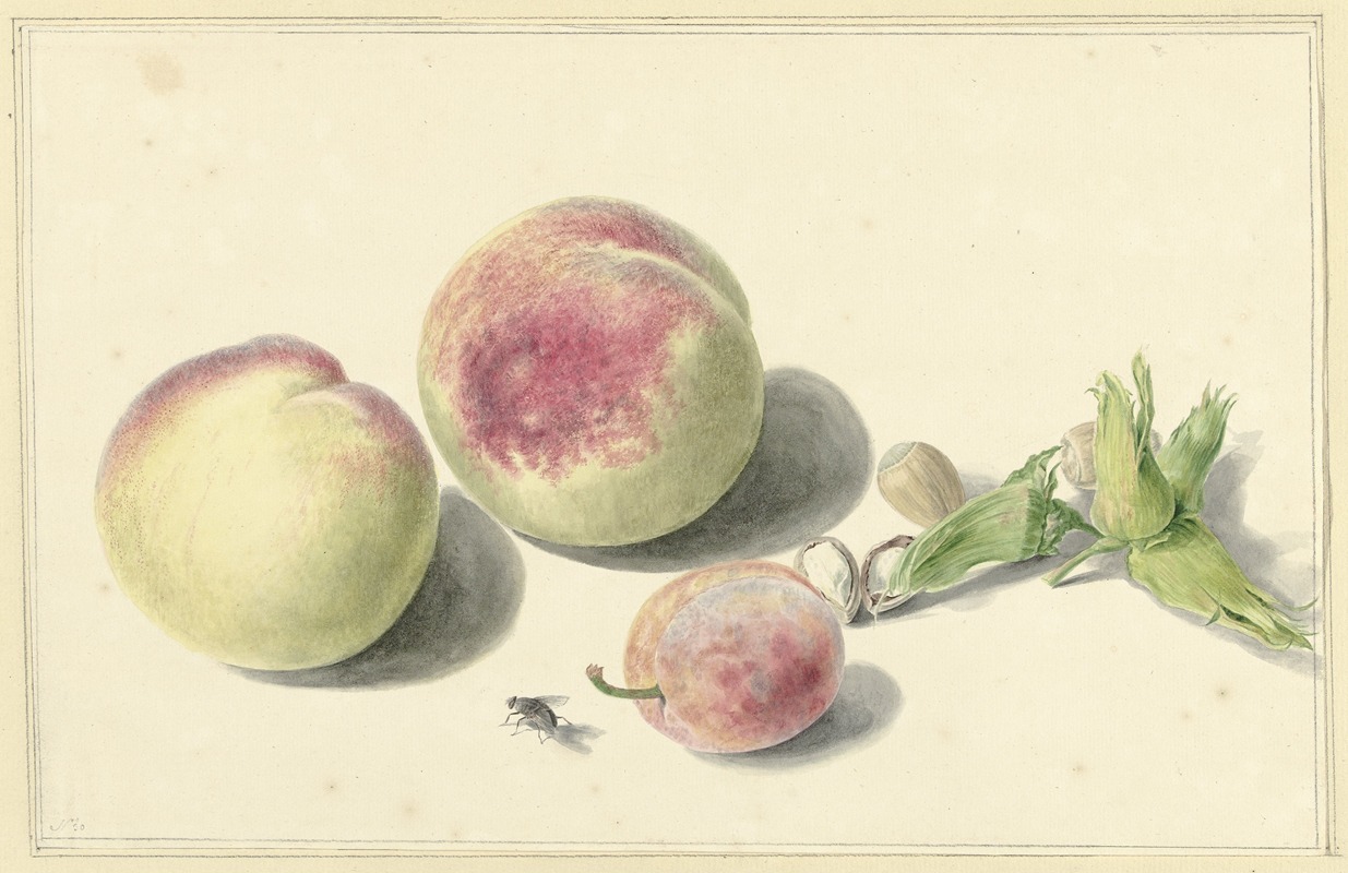 Elisabeth Geertruida van de Kasteele - Perziken, noten, een pruim en een vlieg, after Michiel van Huysum