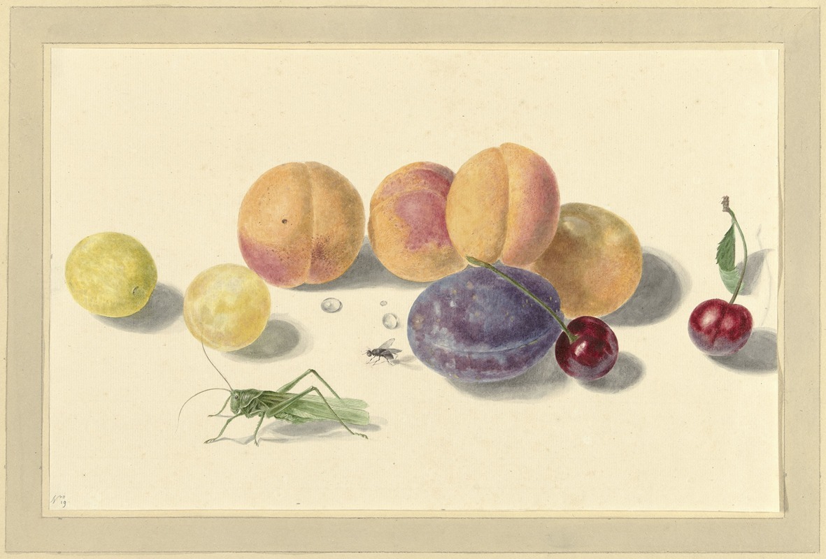 Elisabeth Geertruida van de Kasteele - Perziken, pruimen, kersen en twee insecten, after Michiel van Huysum