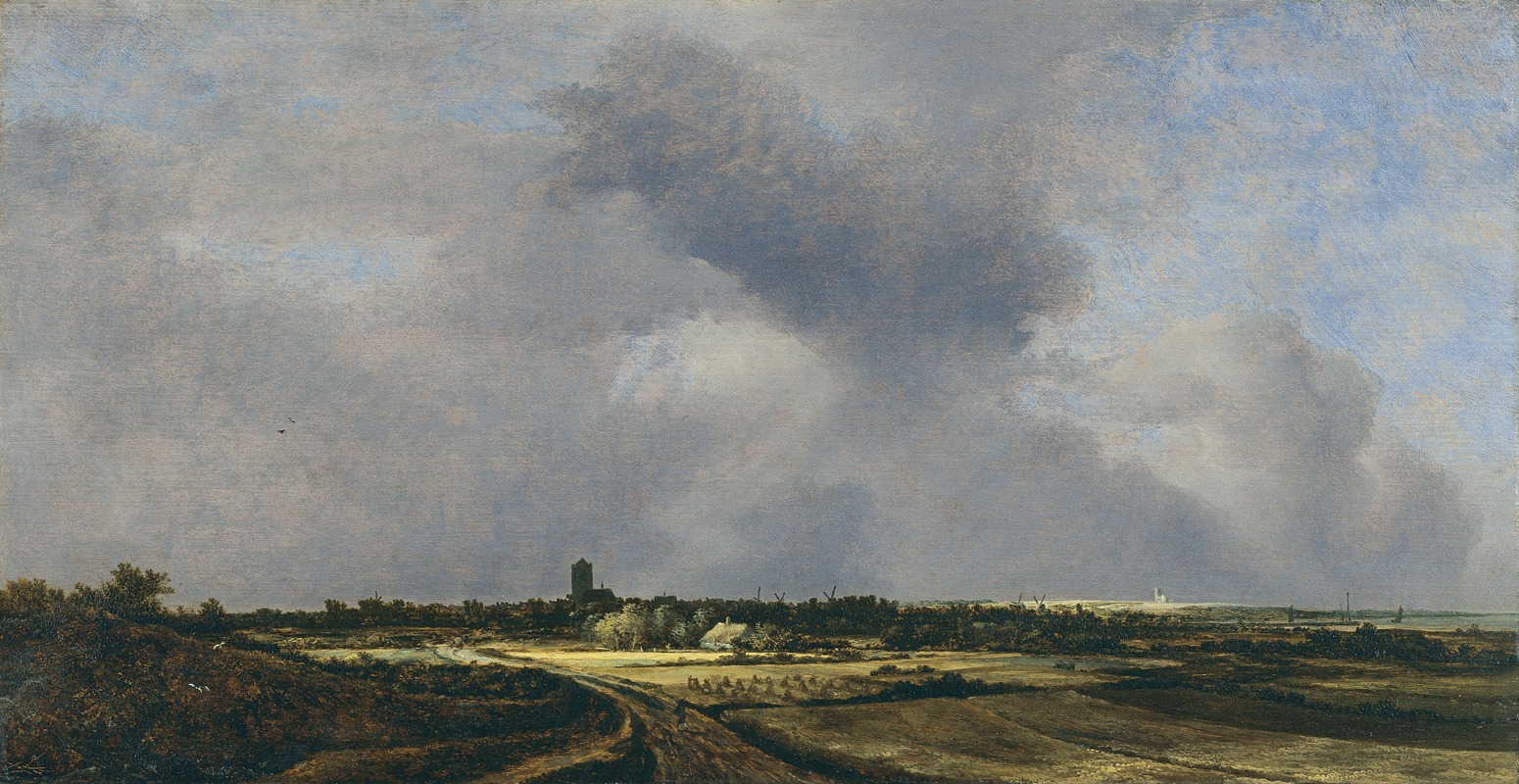 Jacob van Ruisdael - View of Naarden