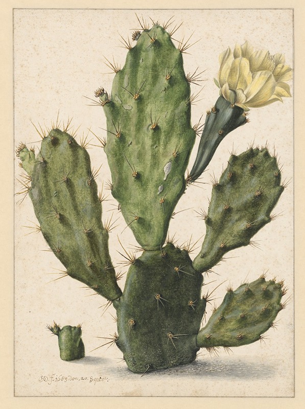 Herman Saftleven - Pear Cactus in Bloom