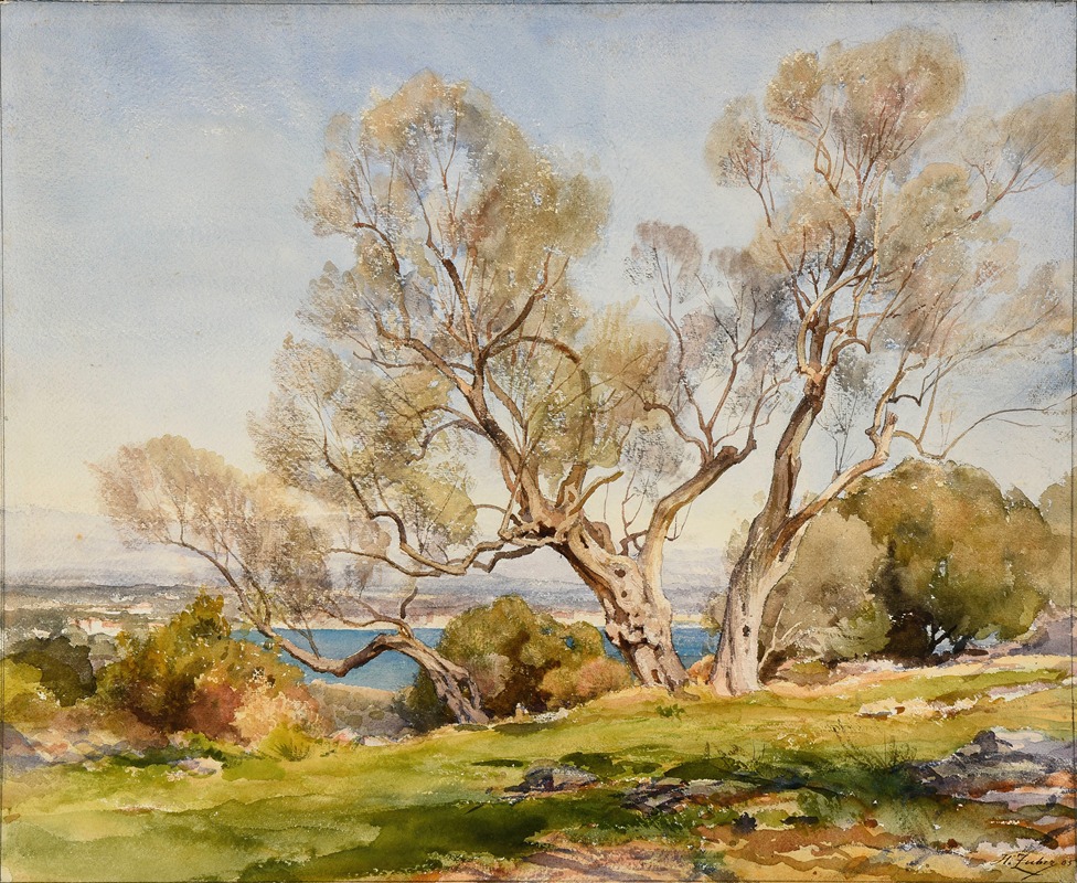 Jean-Henri Zuber - Les oliviers. Cap d’Antibes