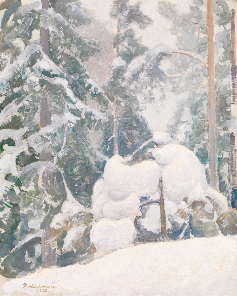 Pekka Halonen - Winter landscape