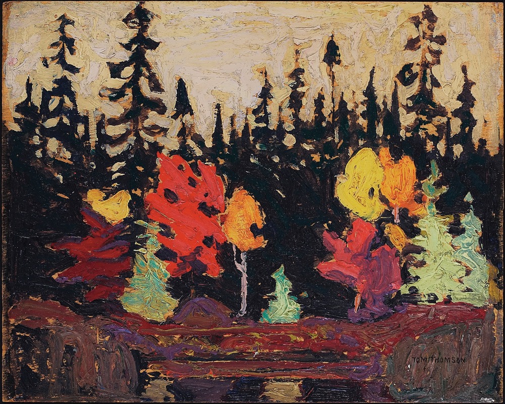 Tom Thomson - Black Spruce and Maple