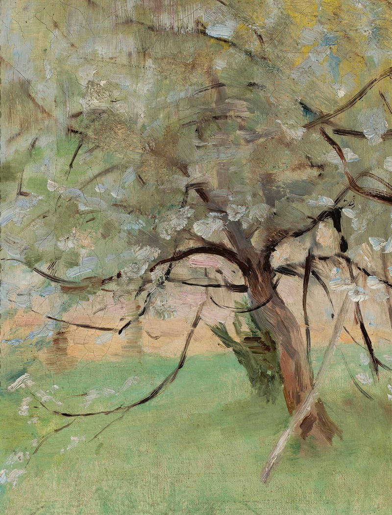 Jan Ciągliński - Apple tree