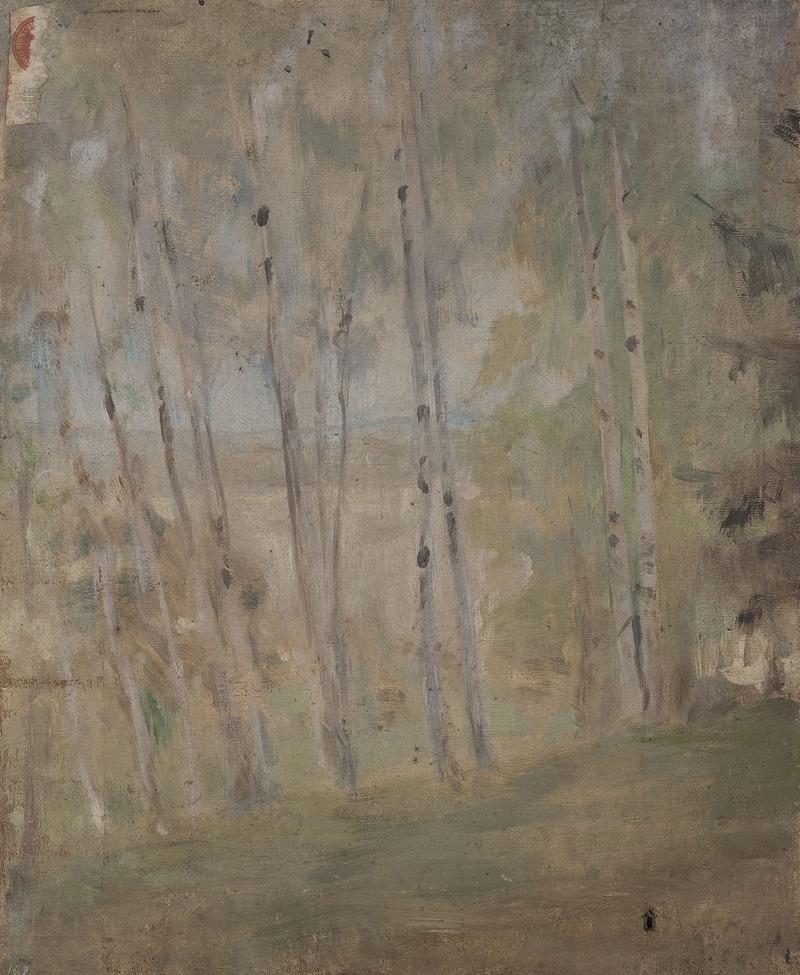 Jan Ciągliński - Maryino – birch trees