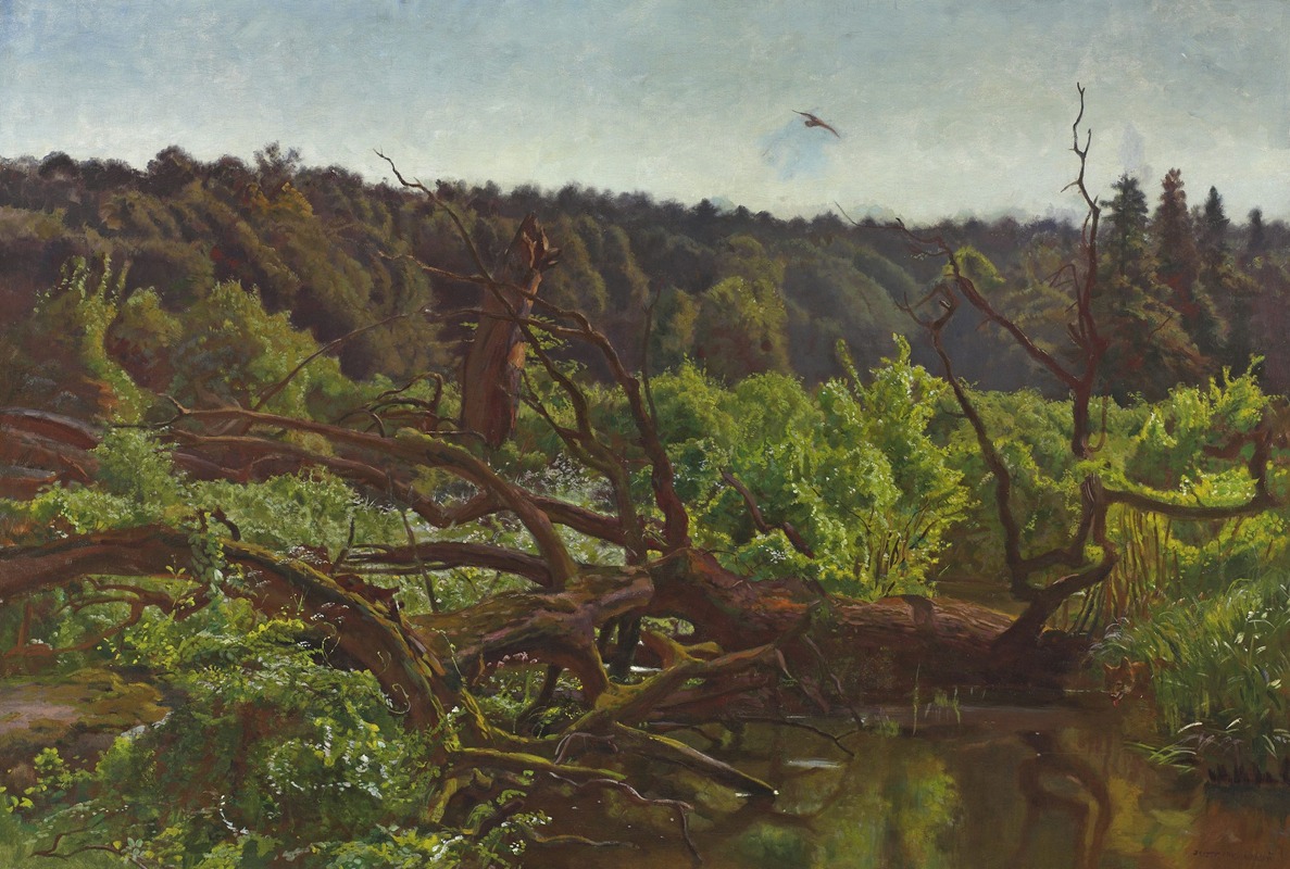 Jozef Chelmonski - Deep forest – Windthrows