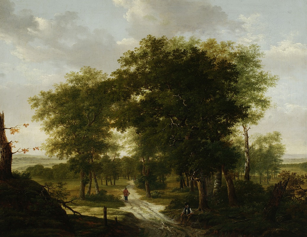 Kazimierz Żwan - Forest landscape