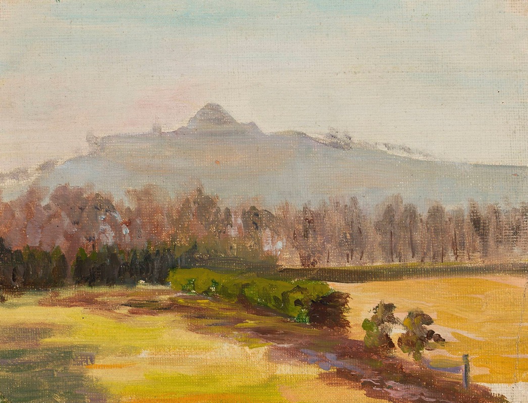 Michał Rouba - Landscape with a view of the Kościuszko Mound
