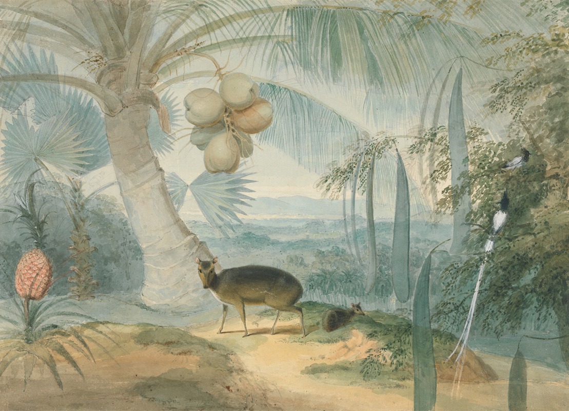 Samuel Daniell - A Landscape in Ceylon, With Barking Deer and Fawn and a Pair of Paradise Fly-Catchers