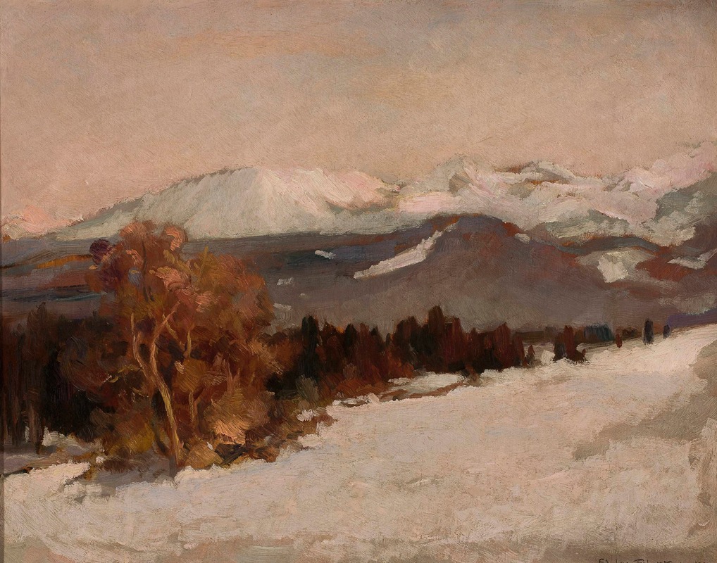 Stefan Filipkiewicz - Mountain landscape in winter
