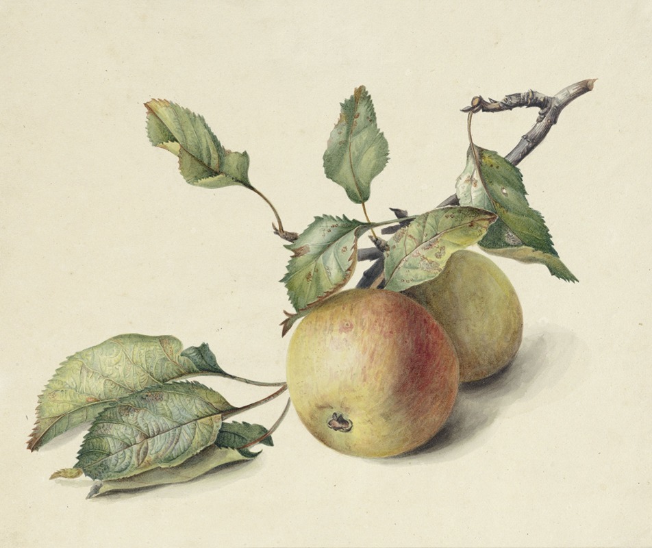 Johannes Reekers II - Twee appeltjes aan een tak
