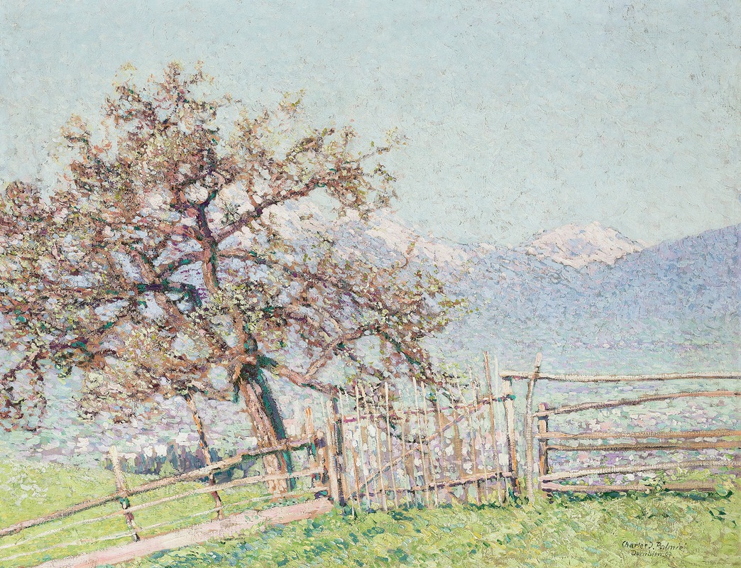 Johann Charles Palmié - Blick auf Dornbirn