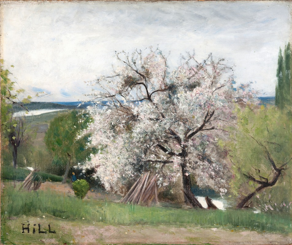Carl Fredrik Hill - Fruit Tree in Blossom, Bois-le-Roi