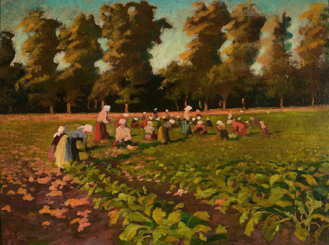 Franciszek Łubieński - Harvesting beetroots