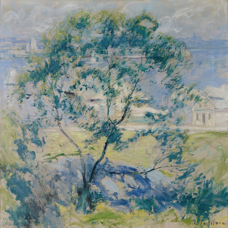 John Henry Twachtman - The Wild Cherry Tree