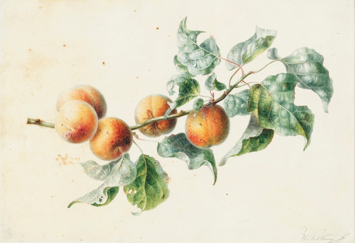 Willem Hekking - Apricots on a branch signed