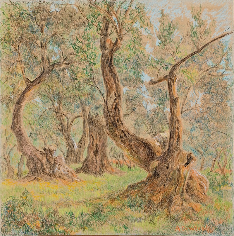 Anna De Weert - Oude olijfbomen