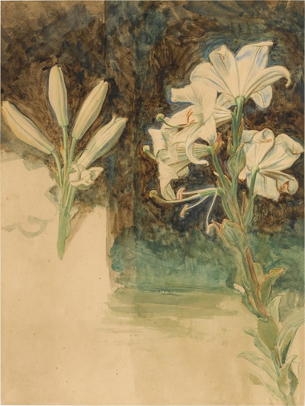 William Holman Hunt - Study of Lilies for May Morning on Magdalen Tower