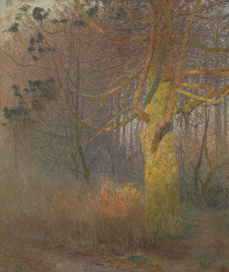 Emile Claus - Tree in the sun