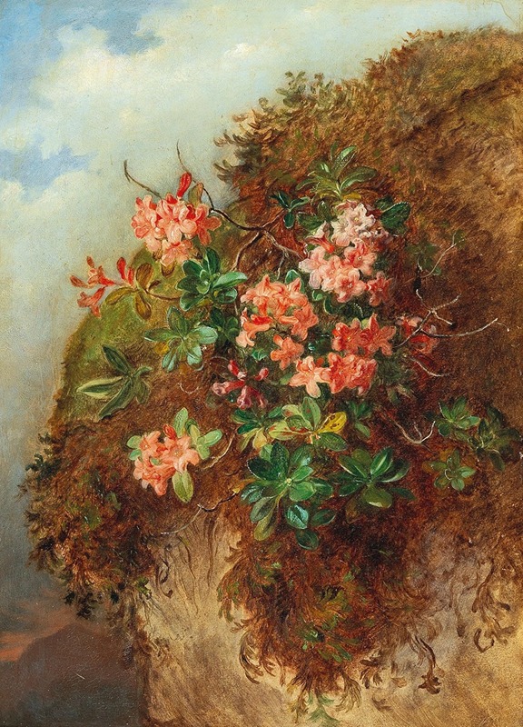 Andreas Lach - Alpine Rose on a Mountain Slope