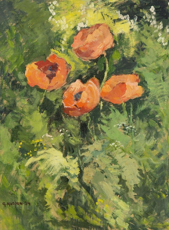 Gustav Macoun - Wild Poppies