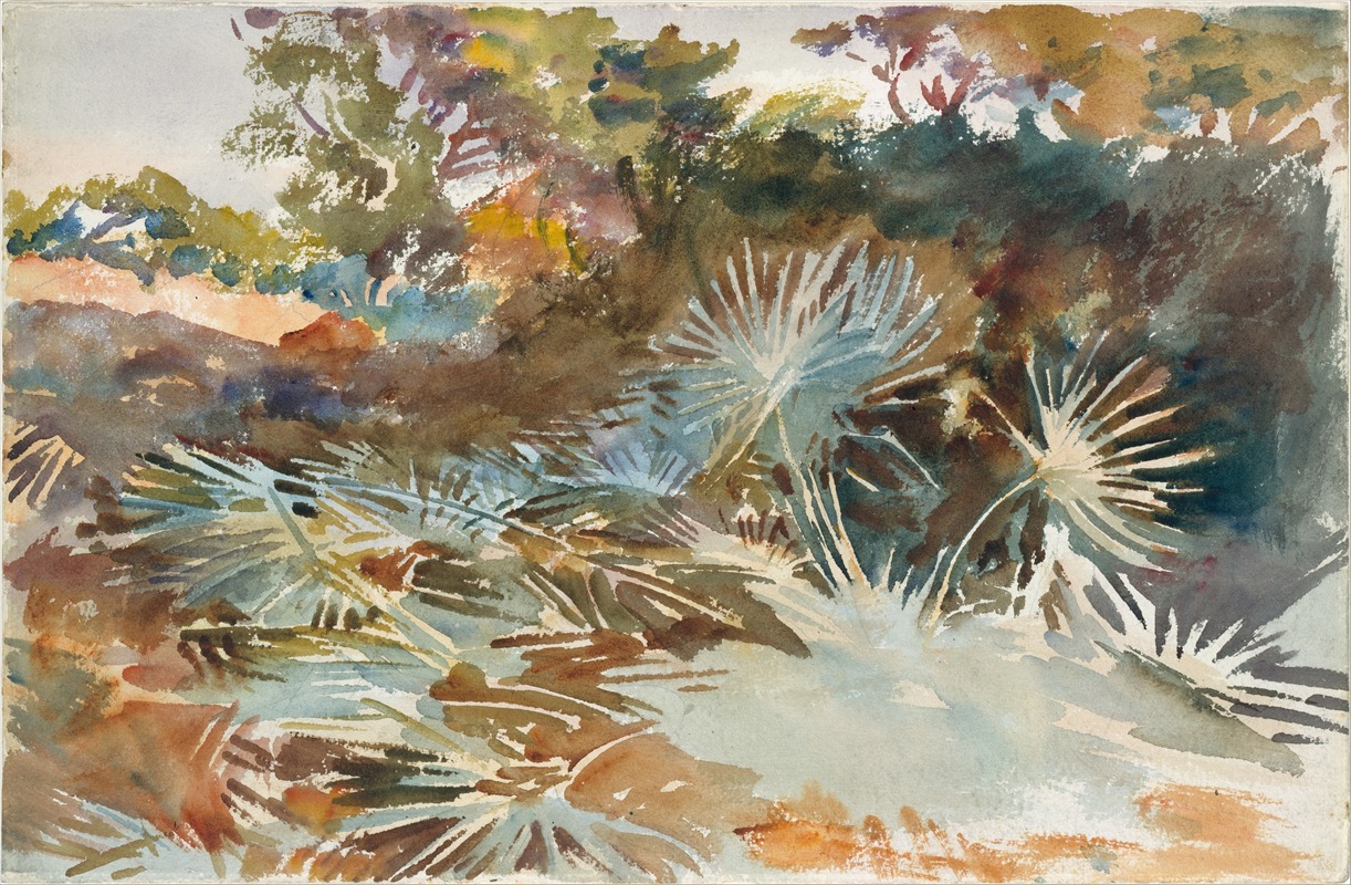 John Singer Sargent - Landscape with Palmettos