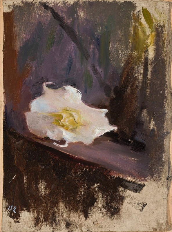 Jan Ciągliński - White flower, study