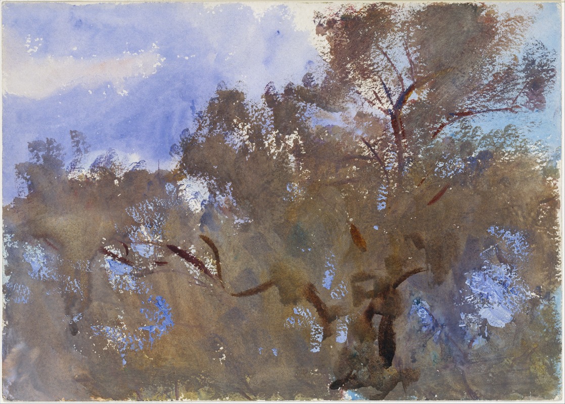 John Singer Sargent - Treetops against Sky