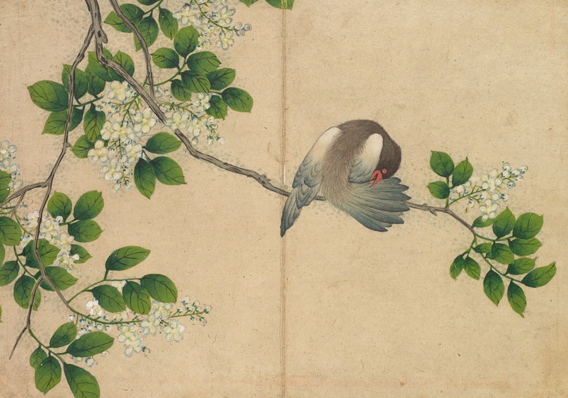 Zhang Ruoai - Preening Bird