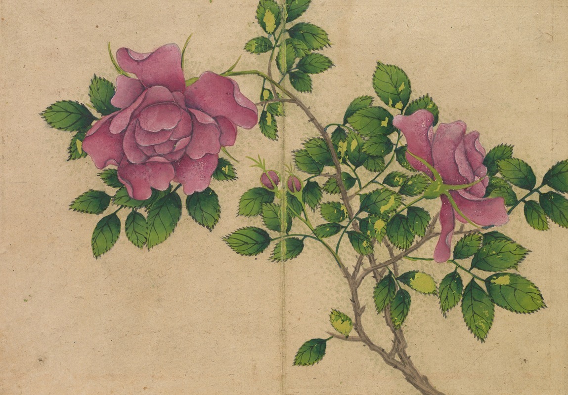 Zhang Ruoai - Rose