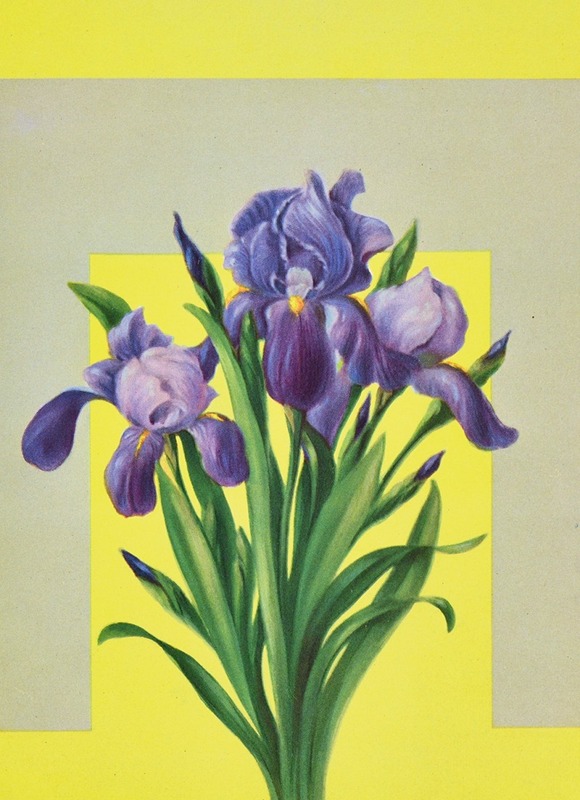 Lafayette F. Cargill - Iris